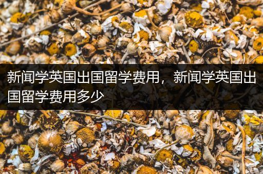 新闻学英国出国留学费用，新闻学英国出国留学费用多少