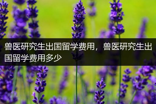 兽医研究生出国留学费用，兽医研究生出国留学费用多少