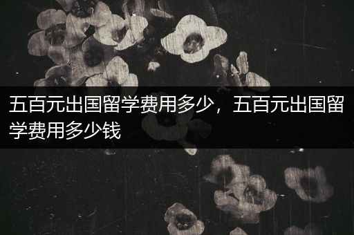 五百元出国留学费用多少，五百元出国留学费用多少钱
