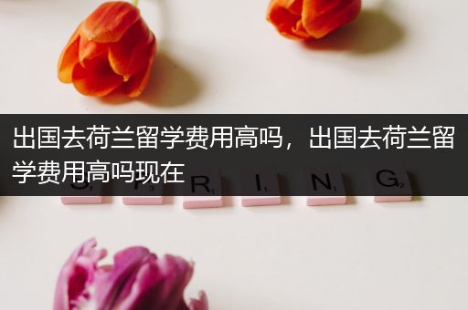 出国去荷兰留学费用高吗，出国去荷兰留学费用高吗现在