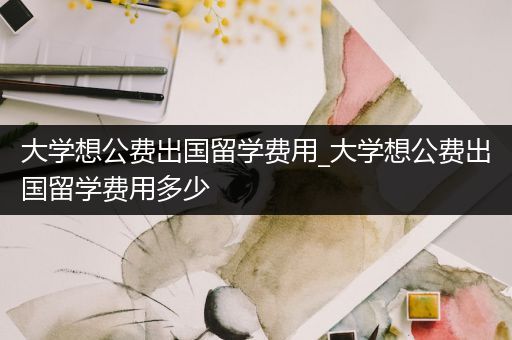大学想公费出国留学费用_大学想公费出国留学费用多少