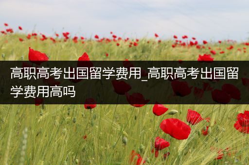 高职高考出国留学费用_高职高考出国留学费用高吗