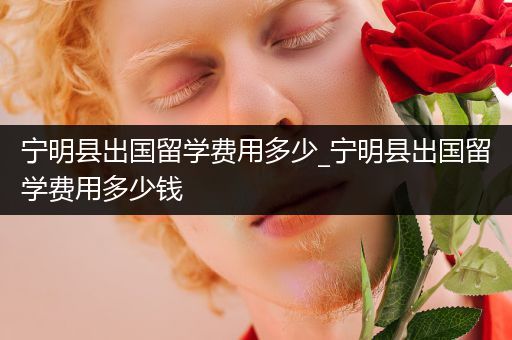宁明县出国留学费用多少_宁明县出国留学费用多少钱