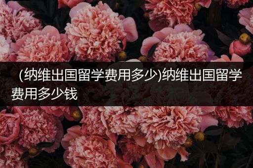 （纳维出国留学费用多少)纳维出国留学费用多少钱