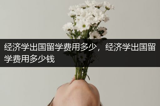 经济学出国留学费用多少，经济学出国留学费用多少钱