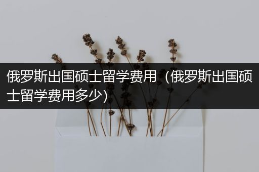 俄罗斯出国硕士留学费用（俄罗斯出国硕士留学费用多少）