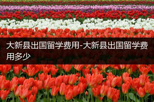 大新县出国留学费用-大新县出国留学费用多少