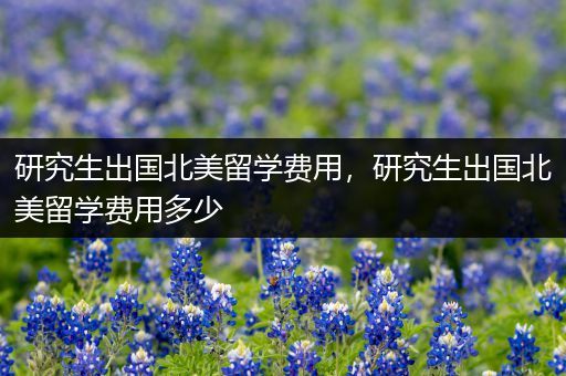 研究生出国北美留学费用，研究生出国北美留学费用多少