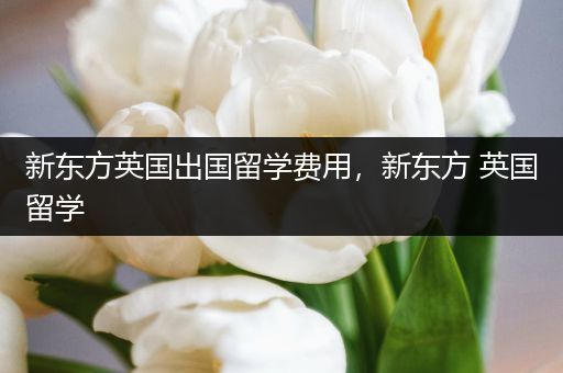 新东方英国出国留学费用，新东方 英国留学