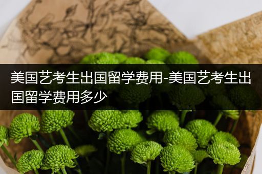 美国艺考生出国留学费用-美国艺考生出国留学费用多少