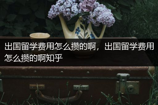 出国留学费用怎么攒的啊，出国留学费用怎么攒的啊知乎