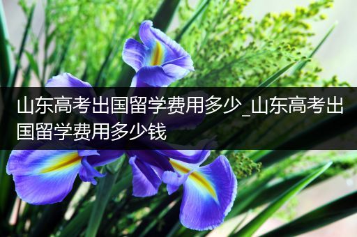 山东高考出国留学费用多少_山东高考出国留学费用多少钱