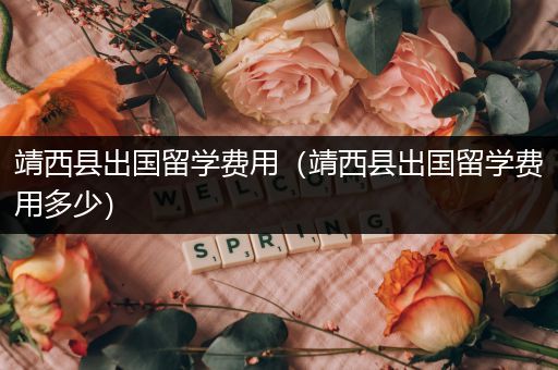 靖西县出国留学费用（靖西县出国留学费用多少）