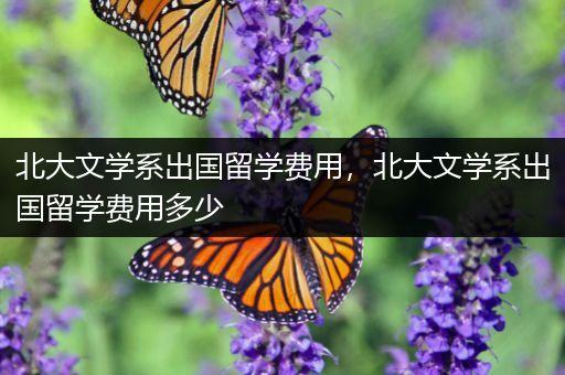 北大文学系出国留学费用，北大文学系出国留学费用多少