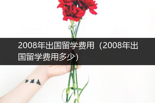 2008年出国留学费用（2008年出国留学费用多少）