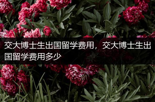 交大博士生出国留学费用，交大博士生出国留学费用多少