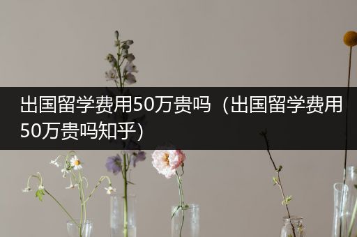 出国留学费用50万贵吗（出国留学费用50万贵吗知乎）