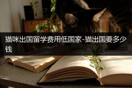 猫咪出国留学费用低国家-猫出国要多少钱