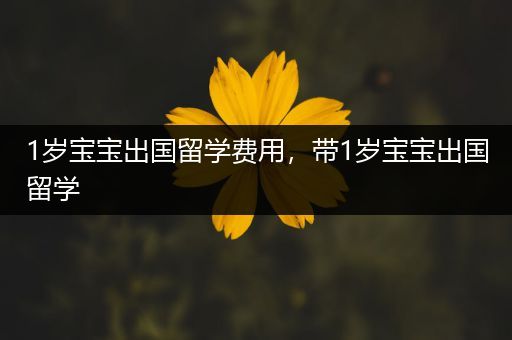 1岁宝宝出国留学费用，带1岁宝宝出国留学