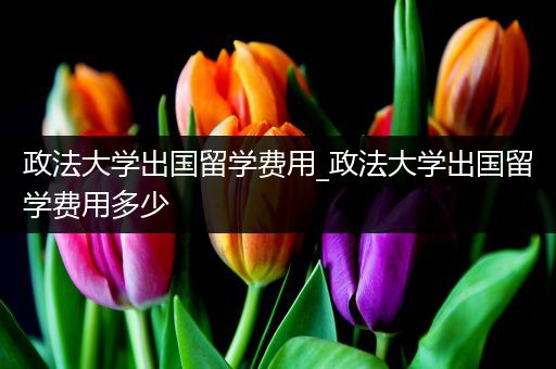 政法大学出国留学费用_政法大学出国留学费用多少