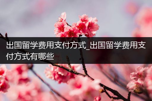 出国留学费用支付方式_出国留学费用支付方式有哪些