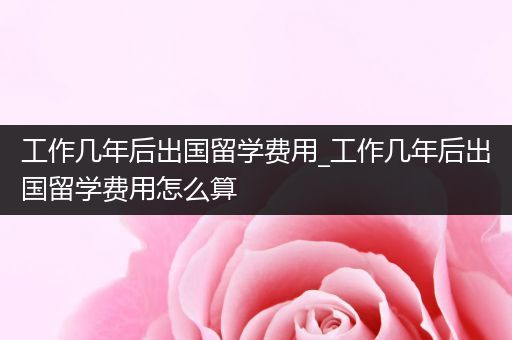 工作几年后出国留学费用_工作几年后出国留学费用怎么算