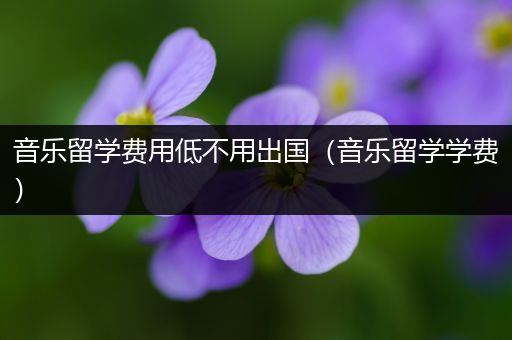 音乐留学费用低不用出国（音乐留学学费）