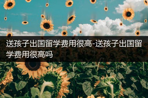 送孩子出国留学费用很高-送孩子出国留学费用很高吗