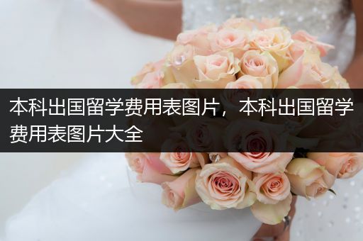本科出国留学费用表图片，本科出国留学费用表图片大全