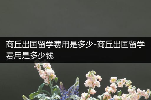商丘出国留学费用是多少-商丘出国留学费用是多少钱