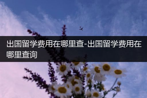 出国留学费用在哪里查-出国留学费用在哪里查询