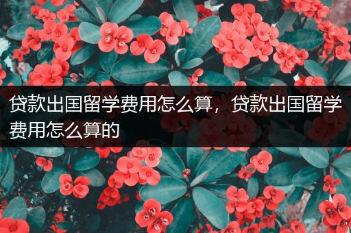 贷款出国留学费用怎么算，贷款出国留学费用怎么算的