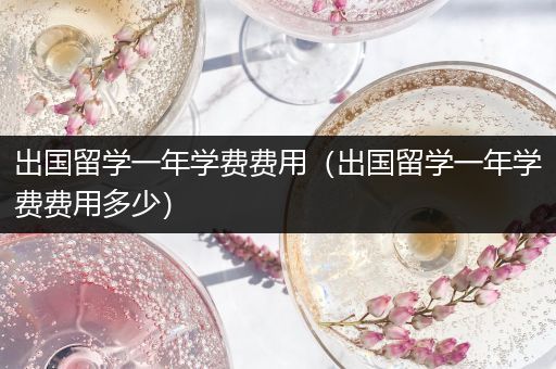 出国留学一年学费费用（出国留学一年学费费用多少）