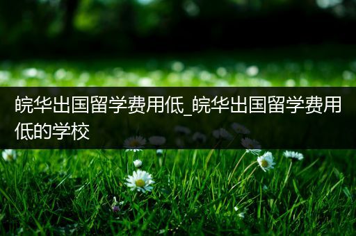 皖华出国留学费用低_皖华出国留学费用低的学校