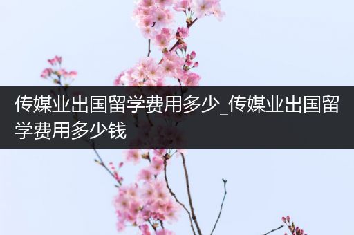 传媒业出国留学费用多少_传媒业出国留学费用多少钱