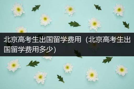 北京高考生出国留学费用（北京高考生出国留学费用多少）