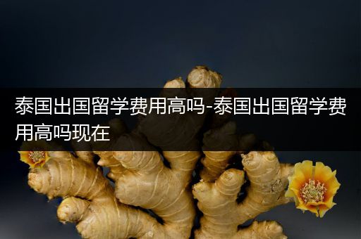 泰国出国留学费用高吗-泰国出国留学费用高吗现在