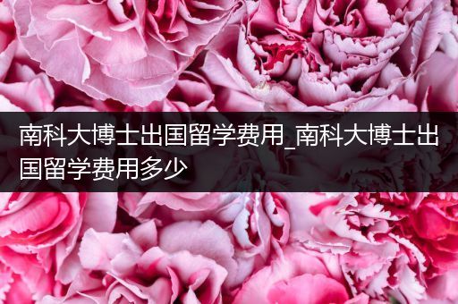 南科大博士出国留学费用_南科大博士出国留学费用多少