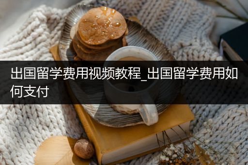 出国留学费用视频教程_出国留学费用如何支付