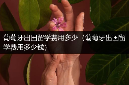 葡萄牙出国留学费用多少（葡萄牙出国留学费用多少钱）