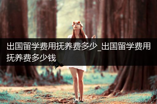 出国留学费用抚养费多少_出国留学费用抚养费多少钱