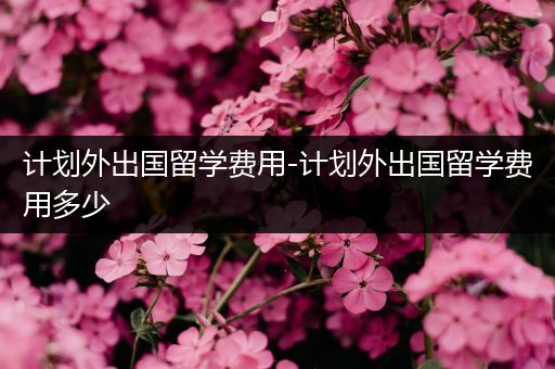 计划外出国留学费用-计划外出国留学费用多少