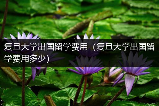 复旦大学出国留学费用（复旦大学出国留学费用多少）