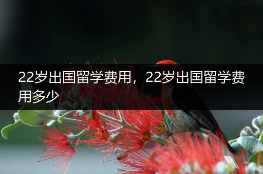 22岁出国留学费用，22岁出国留学费用多少