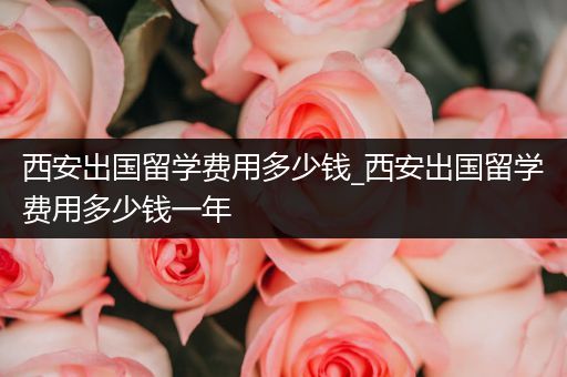 西安出国留学费用多少钱_西安出国留学费用多少钱一年