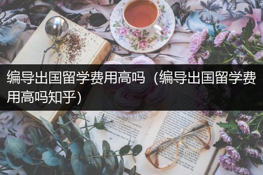 编导出国留学费用高吗（编导出国留学费用高吗知乎）
