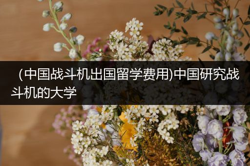 （中国战斗机出国留学费用)中国研究战斗机的大学