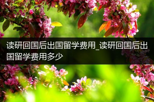 读研回国后出国留学费用_读研回国后出国留学费用多少