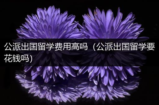 公派出国留学费用高吗（公派出国留学要花钱吗）