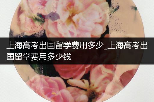 上海高考出国留学费用多少_上海高考出国留学费用多少钱
